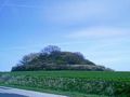 Der Dobberworth bei Sagard - bronzezeitliches Hügelgrab
