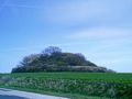 Der Dobberworth bei Sagard - bronzezeitliches H�gelgrab