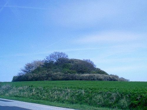 Der Dobberworth bei Sagard - bronzezeitliches Hügelgrab