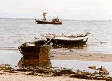Fischerboote am Ostseestrand