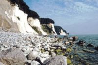 Kreidefelsen im Nationalpark Jasmund