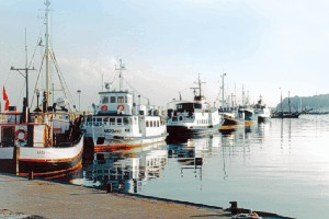 Der Sassnitzer Yacht- und Fischereihafen